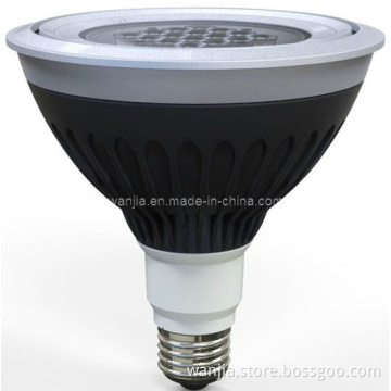 A1 LED Outdoor Lighting 25W PAR38 Cw IP67